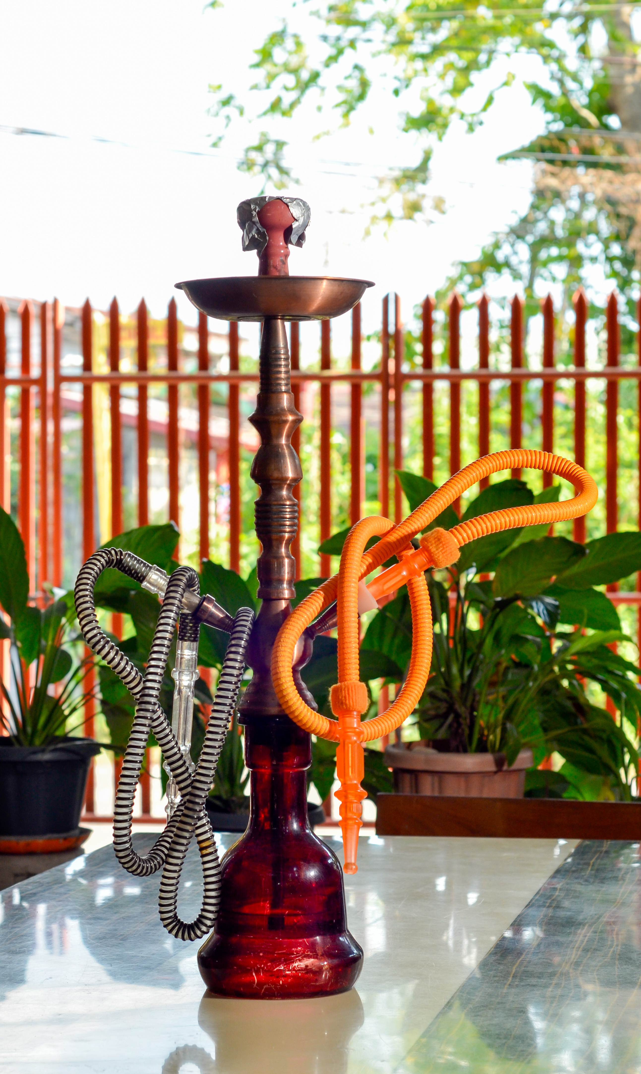 Shisha